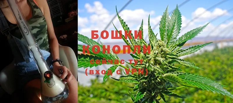 что такое   Таруса  Конопля SATIVA & INDICA 